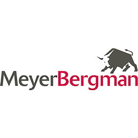 Meyer Bergman