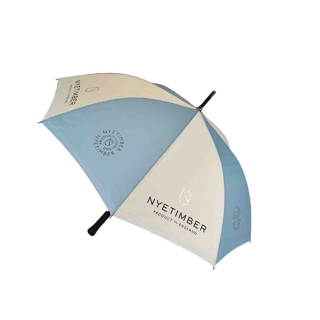 blue and cream umbrella with gold print influencers of consumer behaviour