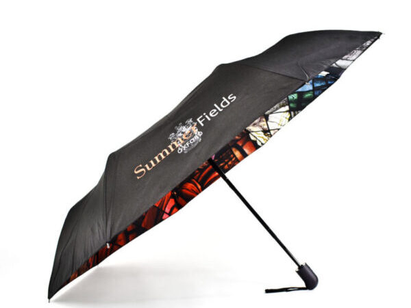 Folding umbrella with print on inside