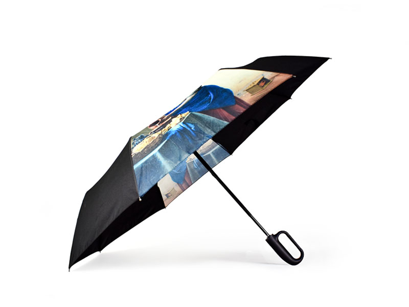 Side view of open umbrella with black clip handle. Two opposite external umbrella panels of the umbrella are printed with a fine art print in colour. The other 6 panels are black.